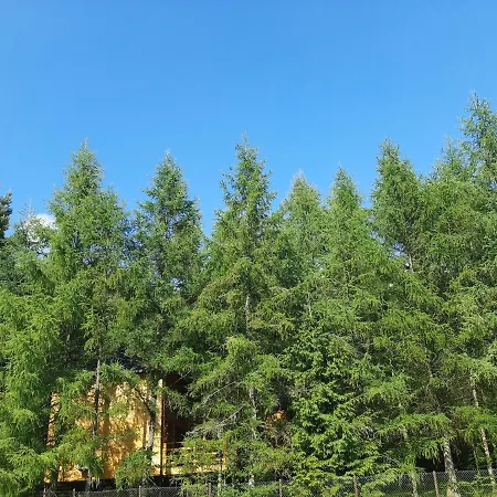 Wood Land Liswarta W Drzewach Popow (Silesia)