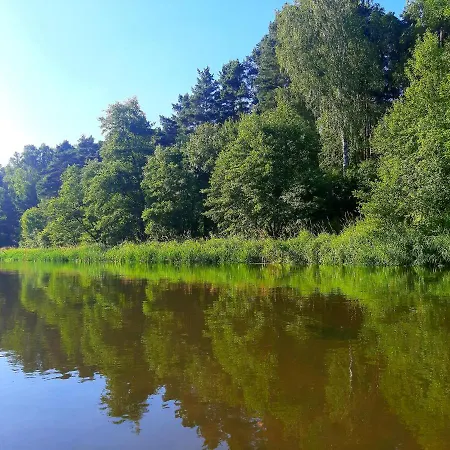 Wood Land Liswarta W Drzewach