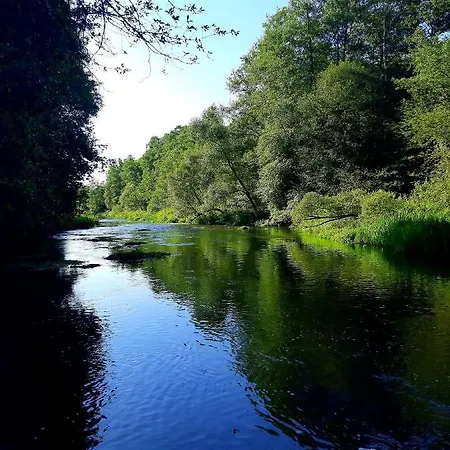 Wood Land Liswarta W Drzewach Popow (Silesia)