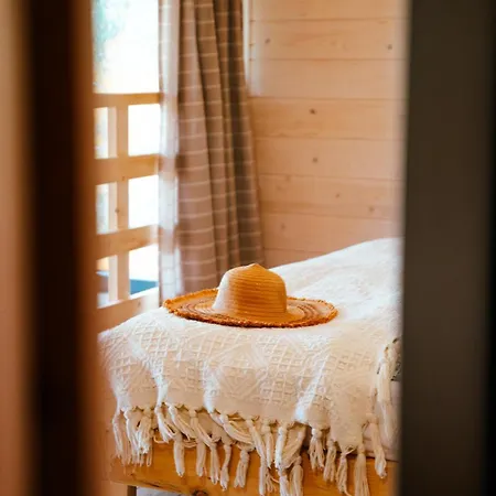 Wood Land Liswarta W Drzewach