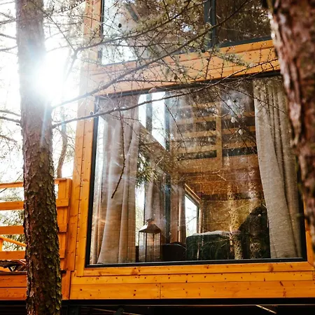 Wood Land Liswarta W Drzewach Popow (Silesia)
