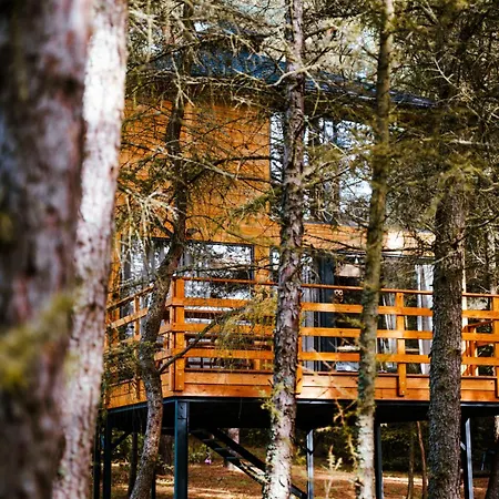 Appartamento Wood Land Liswarta W Drzewach