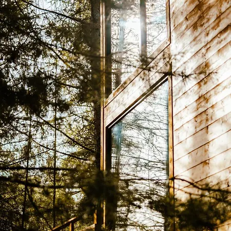 Wood Land Liswarta W Drzewach Popow (Silesia)