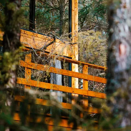 Wood Land Liswarta W Drzewach Appartamento