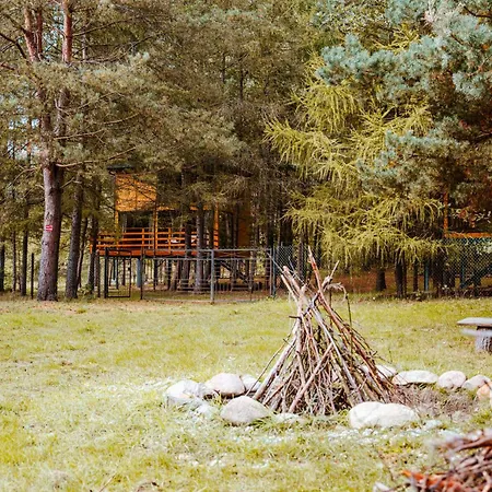 Wood Land Liswarta W Drzewach Apartment