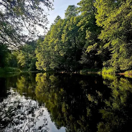 Appartement Wood Land Liswarta W Drzewach