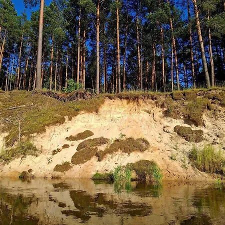 Wood Land Liswarta W Drzewach Appartement *