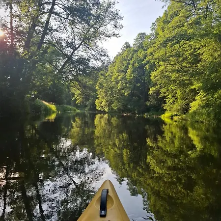 Wood Land Liswarta W Drzewach Appartement Popow (Silesia)