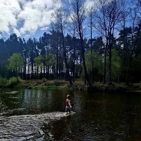 Wood Land Liswarta W Drzewach