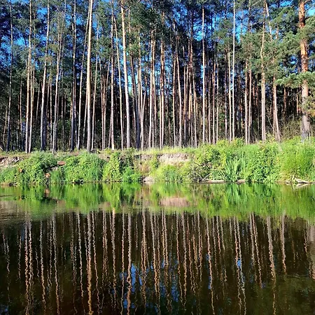 Wood Land Liswarta W Drzewach Popow (Silesia)