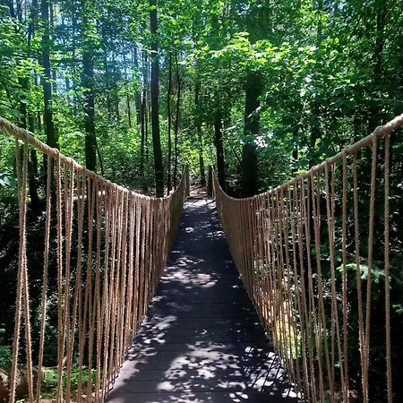 Wood Land Liswarta W Drzewach Appartement