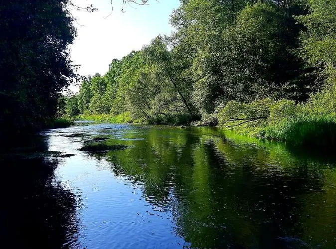 Wood Land Liswarta W Drzewach Popow (Silesia)