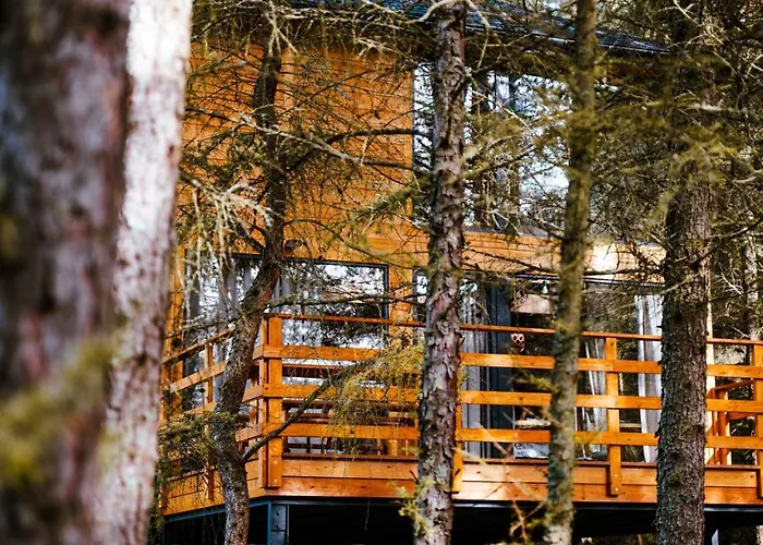 Apartamento Wood Land Liswarta W Drzewach