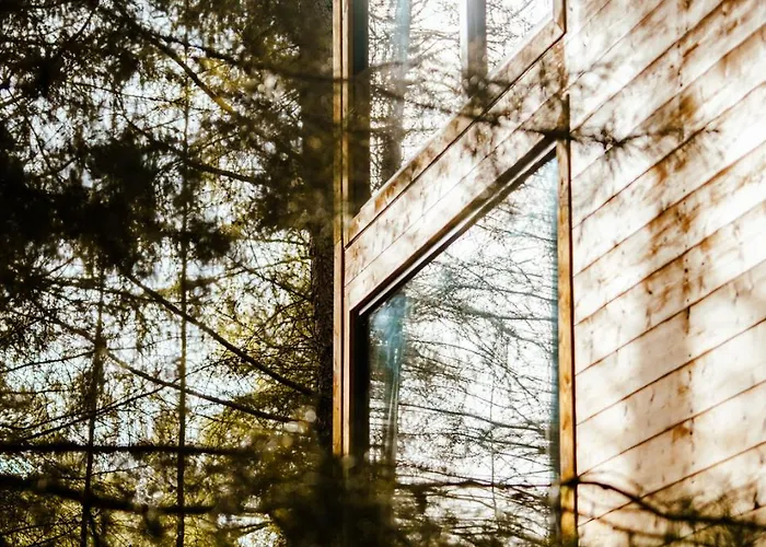 Wood Land Liswarta W Drzewach Popow (Silesia)