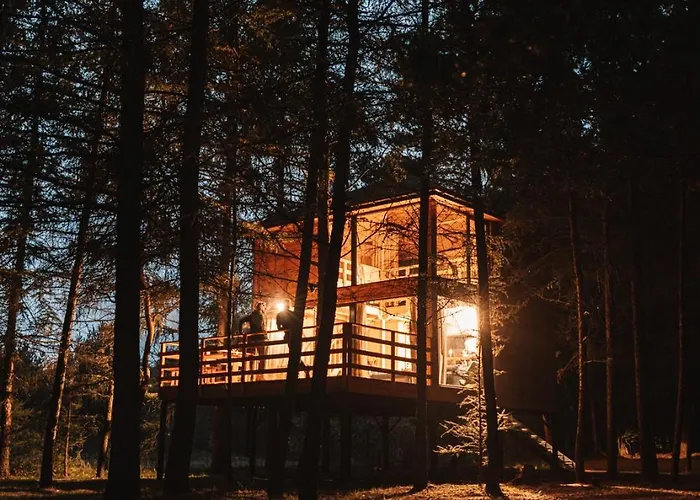 Wood Land Liswarta W Drzewach Popow (Silesia)