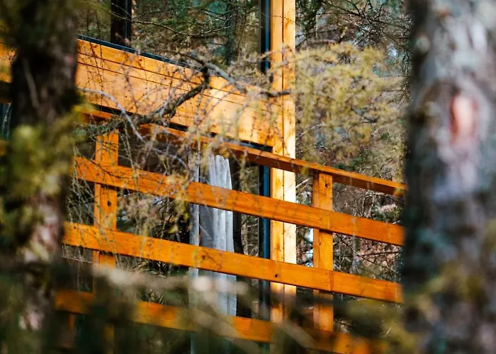 Wood Land Liswarta W Drzewach Apartamento