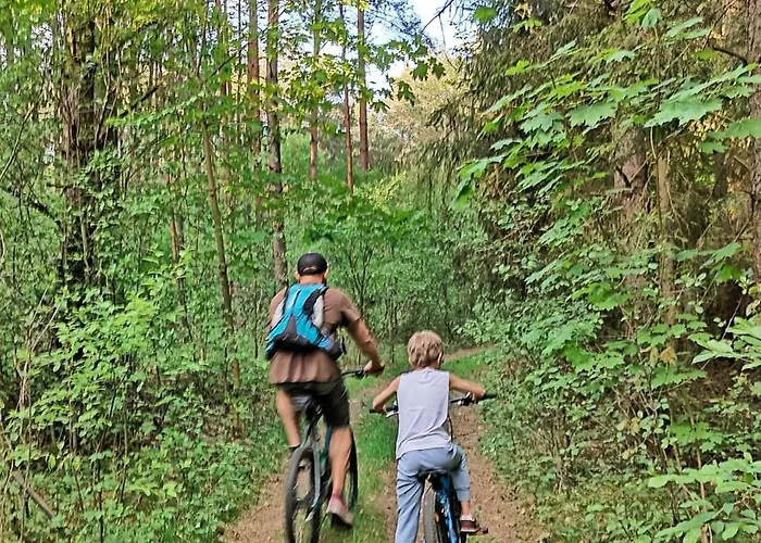 Wood Land Liswarta W Drzewach * Popow (Silesia)