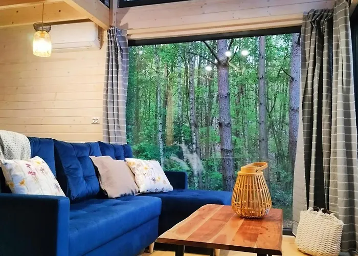 Wood Land Liswarta W Drzewach *