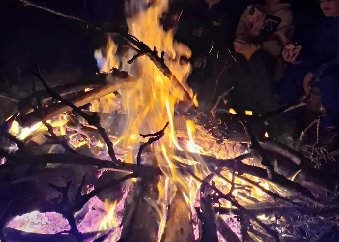 Apartamento Wood Land Liswarta W Drzewach