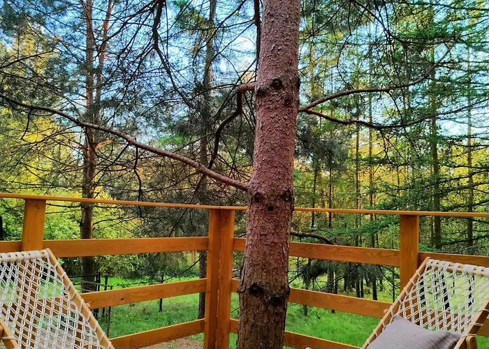 Wood Land Liswarta W Drzewach * Popow (Silesia)