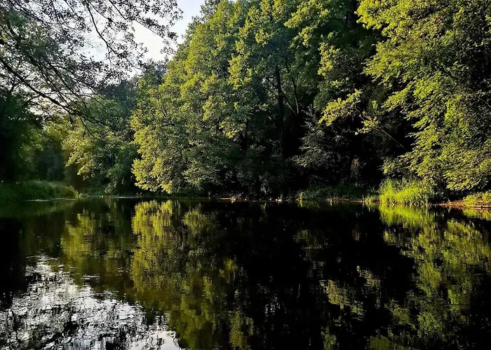 Apartamento Wood Land Liswarta W Drzewach