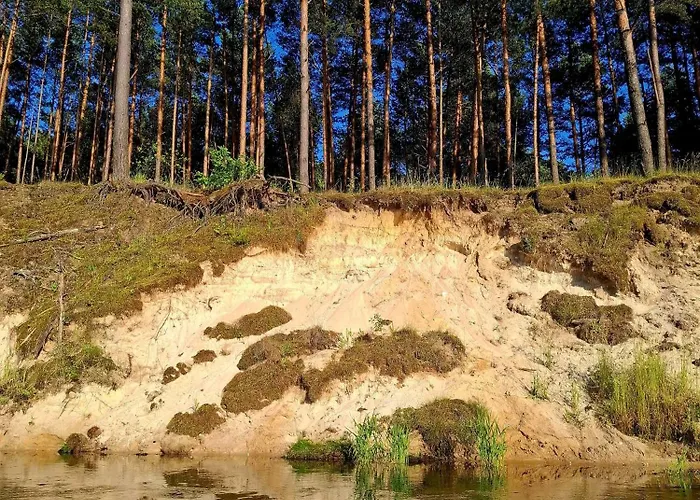 Wood Land Liswarta W Drzewach Apartamento *