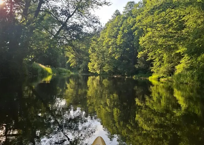 Wood Land Liswarta W Drzewach Apartamento Popow (Silesia)