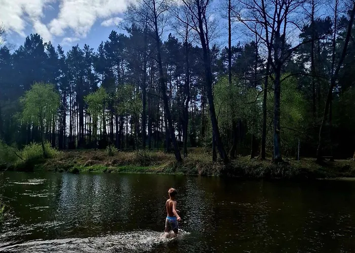 Wood Land Liswarta W Drzewach