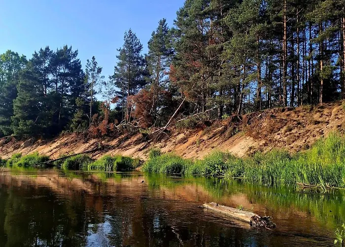 Apartamento Wood Land Liswarta W Drzewach Popow (Silesia)