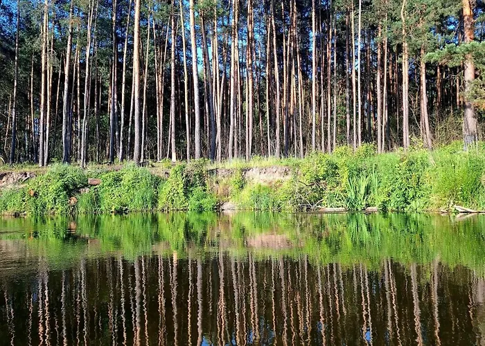 Wood Land Liswarta W Drzewach Popow (Silesia)