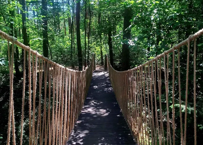 Wood Land Liswarta W Drzewach Apartamento